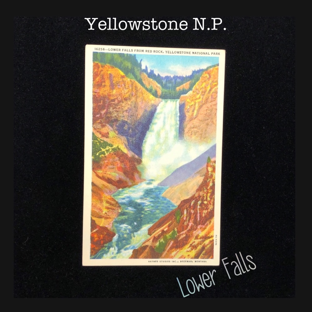 Vintage Yellowstone Postcard Art!
